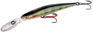 0001_Spro_Ikiru_DD_120_Long_Lipped_Minnow_Bait__[Zwevend__Suspending_]_[Spro].jpg